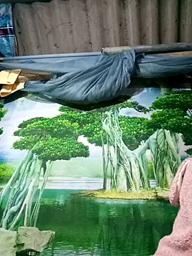 MaiHoa69 online show from 11/15/25, 02:57