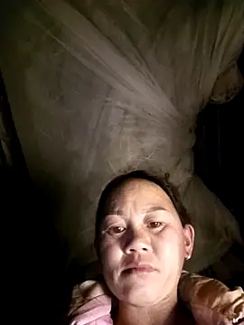 MaiHoa69 online show from 02/11/26, 11:43