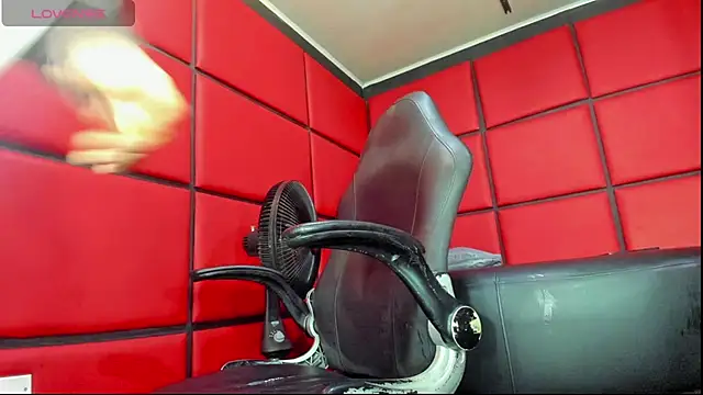 damian bull online show from 02/13/26, 01:07