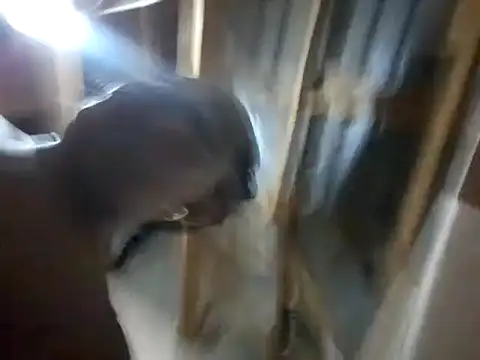 BigAssjuicy26 online show from 10/27/25, 10:14