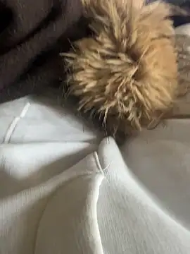 Snapshot of LesAmantsAE2 chatting on 02/15/26, 10:14 LesAmantsAE2 online show from 02/15/26, 10:14