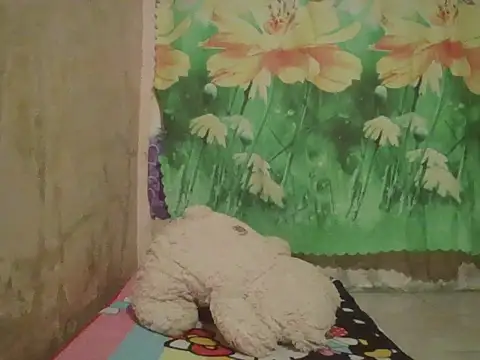 Snapshot of sexymorenal18 chatting on 09/27/25, 01:38 sexymorenal18 online show from 09/27/25, 01:38