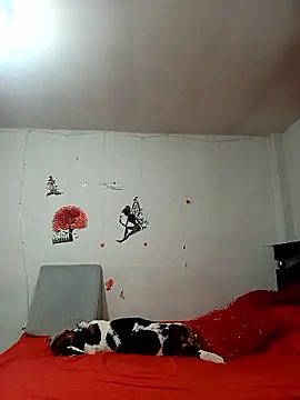 Snapshot of Lady_16 chatting on 01/06/26, 01:53 Lady 16 online show from 01/06/26, 01:53