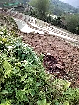 PhamPm70 online show from 04/02/26, 09:51