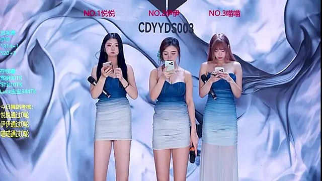 Snapshot of cdyyds001 chatting on 11/28/25, 11:13 cdyyds001 online show from 11/28/25, 11:13