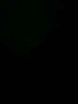 Snapshot of Liendro chatting on 11/20/25, 01:39 Liendro online show from 11/20/25, 01:39