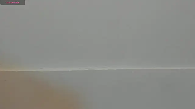 Snapshot of VioletRose_as chatting on 02/11/26, 08:03 VioletRose as online show from 02/11/26, 08:03