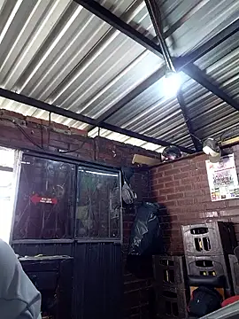 kay towers99 online show from 04/06/26, 06:31