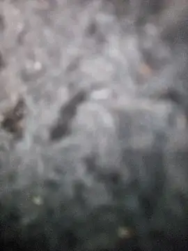 Snapshot of Romance32 chatting on 11/03/25, 07:31 Romance32 online show from 11/03/25, 07:31