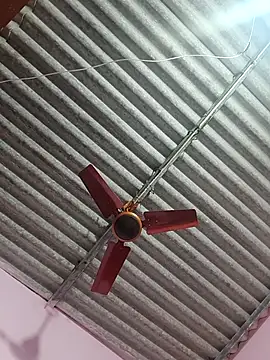 Cute-Swewty online show from 02/09/26, 04:33