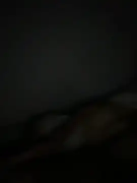 Smallboybigworld online show from 02/11/26, 09:42