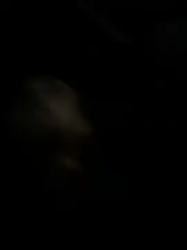 Snapshot of high3ndlowlife chatting on 11/27/25, 02:13 high3ndlowlife online show from 11/27/25, 02:13