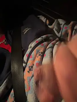 Snapshot of high3ndlowlife chatting on 11/29/25, 04:04 high3ndlowlife online show from 11/29/25, 04:04