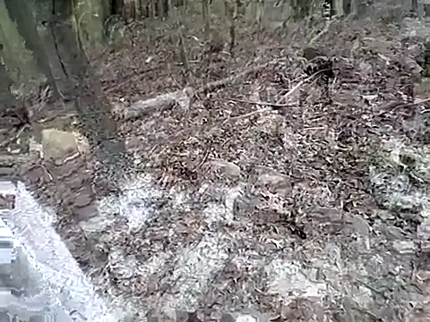 Snapshot of fischnet chatting on 09/20/25, 10:55 fischnet online show from 09/20/25, 10:55