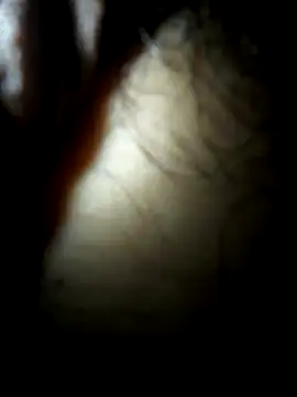 luislimafuego online show from 10/04/25, 10:24