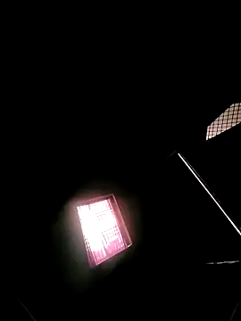 princexdcs online show from 02/07/26, 10:52