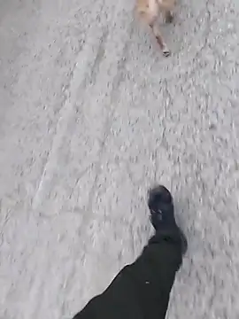 Axelitoc online show from 03/05/26, 06:09