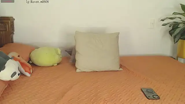 Snapshot of Raven06_ chatting on 11/11/25, 12:10 Raven06 online show from 11/11/25, 12:10