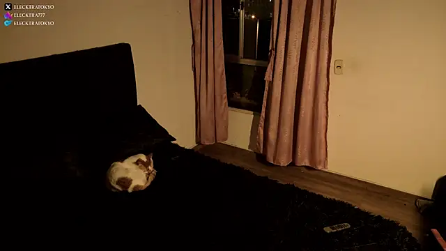 Snapshot of alexxatokyo chatting on 10/26/25, 08:42 alexxatokyo online show from 10/26/25, 08:42