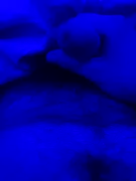 Snapshot of Derfick200 chatting on 12/02/25, 07:09 Derfick200 online show from 12/02/25, 07:09