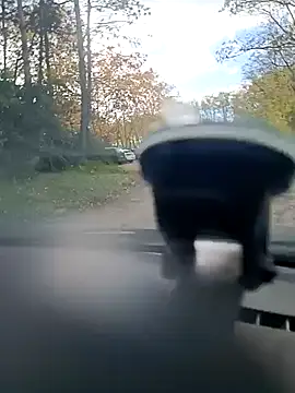 Snapshot of twitshe chatting on 10/30/25, 01:45 twitshe online show from 10/30/25, 01:45