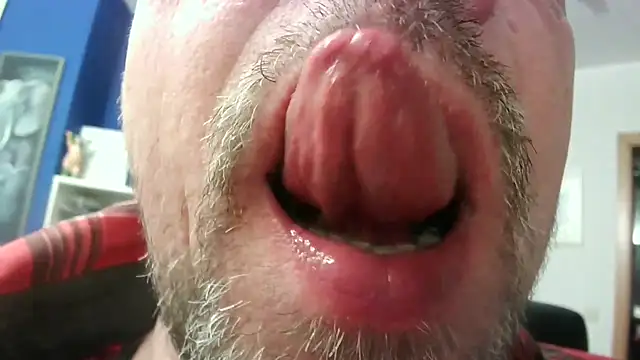 circus bearxh online show from 11/23/25, 06:46