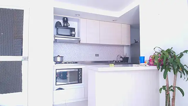 Something pork4 online show from 11/30/25, 08:46