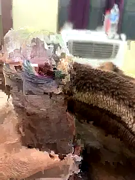 its Surya BBC online show from 11/27/25, 12:40