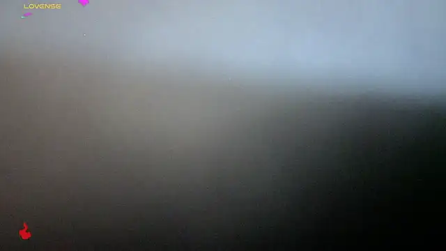 Alexander ferre online show from 02/25/26, 01:32