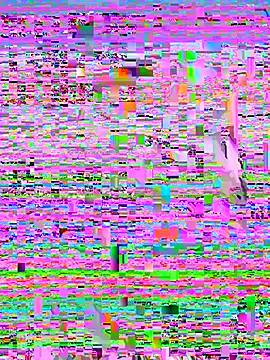 Rouse69  online show from 11/14/25, 01:32