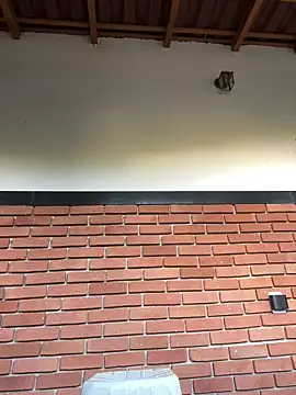 Snapshot of Dunot__ chatting on 12/21/25, 09:16 Dunot online show from 12/21/25, 09:16