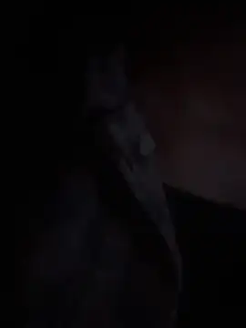 Snapshot of LilybethGray chatting on 11/19/25, 10:43 LilybethGray online show from 11/19/25, 10:43