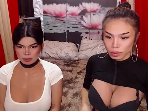 WILDROXIE online show from 12/15/25, 04:39