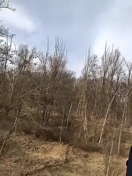 kot766 online show from 03/25/26, 12:22