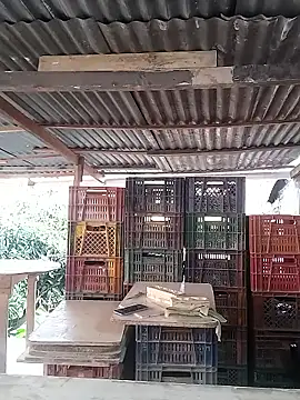 hoteder online show from 02/16/26, 12:45