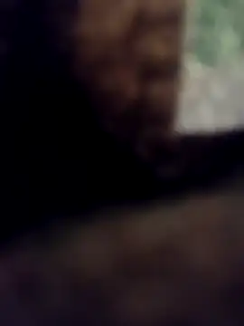 lucho2328 online show from 09/11/25, 07:19