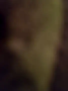 lucho2328 online show from 09/17/25, 04:52