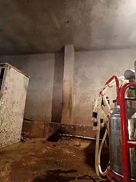 ezgi2545 online show from 02/22/26, 03:10