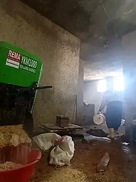 ezgi2545 online show from 03/02/26, 07:15