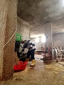 ezgi2545 online show from 03/06/26, 07:27