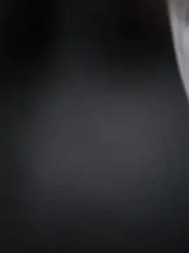 Lizbeth Rouse online show from 12/17/25, 11:05