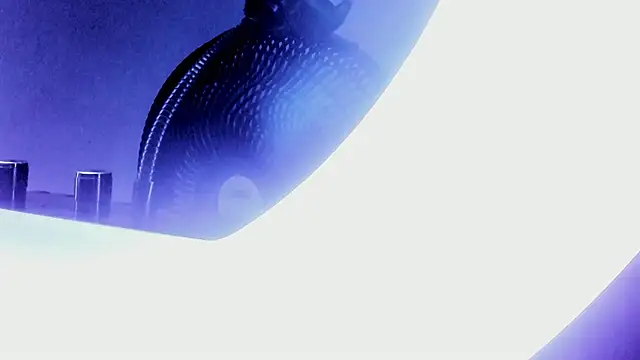 Snapshot of bell_popperr_ chatting on 10/03/25, 11:29 bell popperr online show from 10/03/25, 11:29