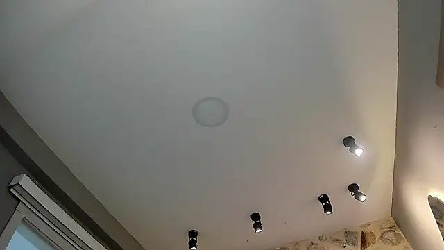 VenusBlazer online show from 02/14/26, 07:10