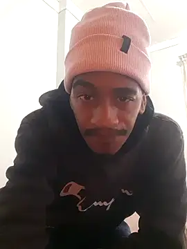 Snapshot of gemini_loops chatting on 11/17/25, 02:56 gemini loops online show from 11/17/25, 02:56