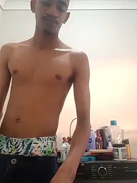 Snapshot of gemini_loops chatting on 12/03/25, 04:05 gemini loops online show from 12/03/25, 04:05