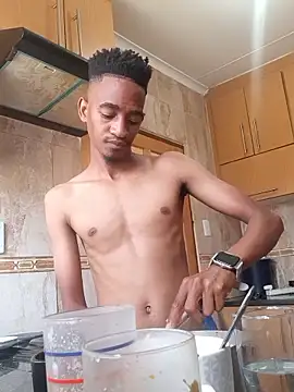 Snapshot of gemini_loops chatting on 01/09/26, 08:17 gemini loops online show from 01/09/26, 08:17