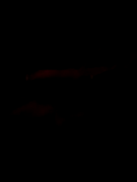 Marco0sss online show from 02/08/26, 09:02