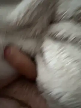 cumshot foryou online show from 03/07/26, 04:04