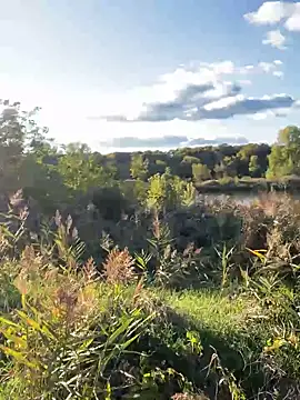 Snapshot of FavoriteKira chatting on 09/20/25, 02:07 FavoriteKira online show from 09/20/25, 02:07