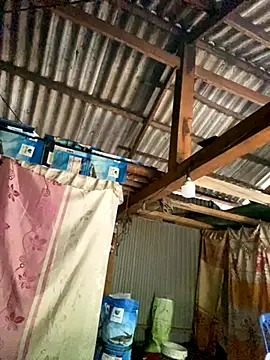 PhanHaa online show from 10/20/25, 08:59